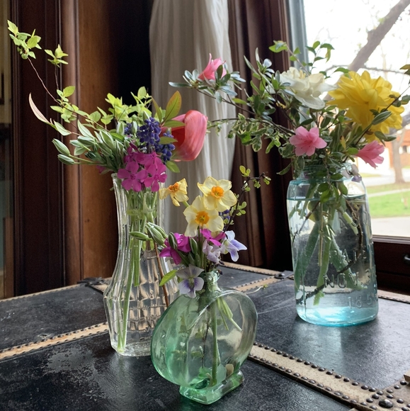 Meet your Posher, Kristi - Picture 1 of 1